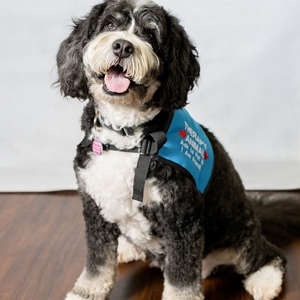 Fundraising Page: Marlene Mardis